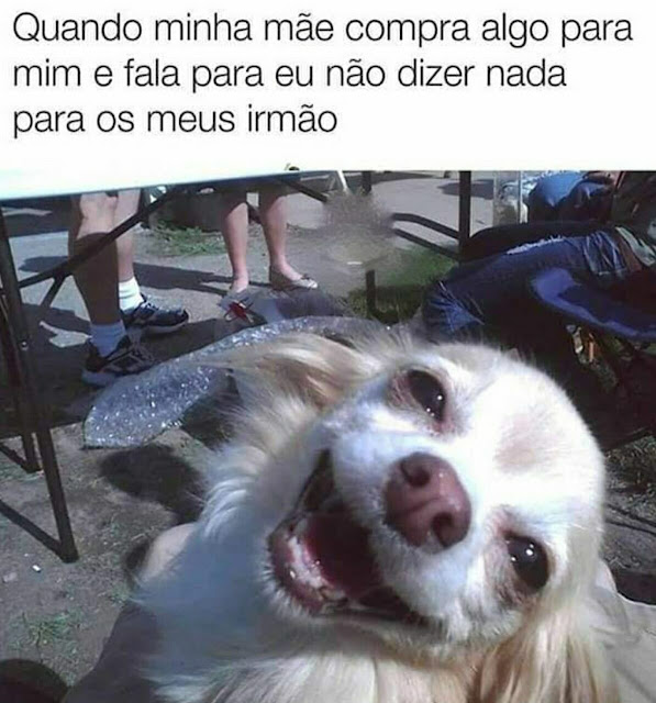 Memes engraçados Memes engraçados