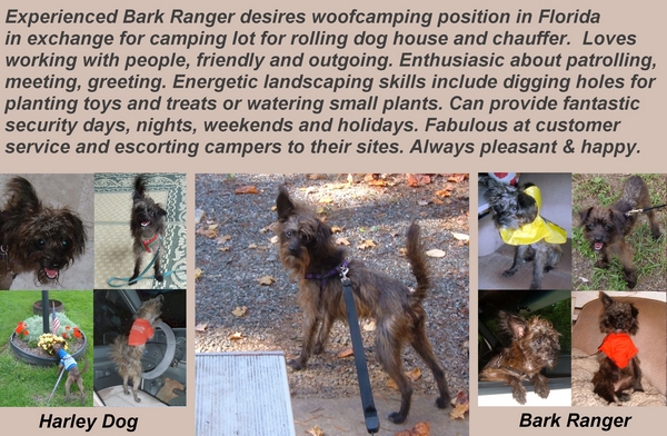 Experienced Bark Ranger seeking woofcamping or workamping by Dear Miss Mermaid