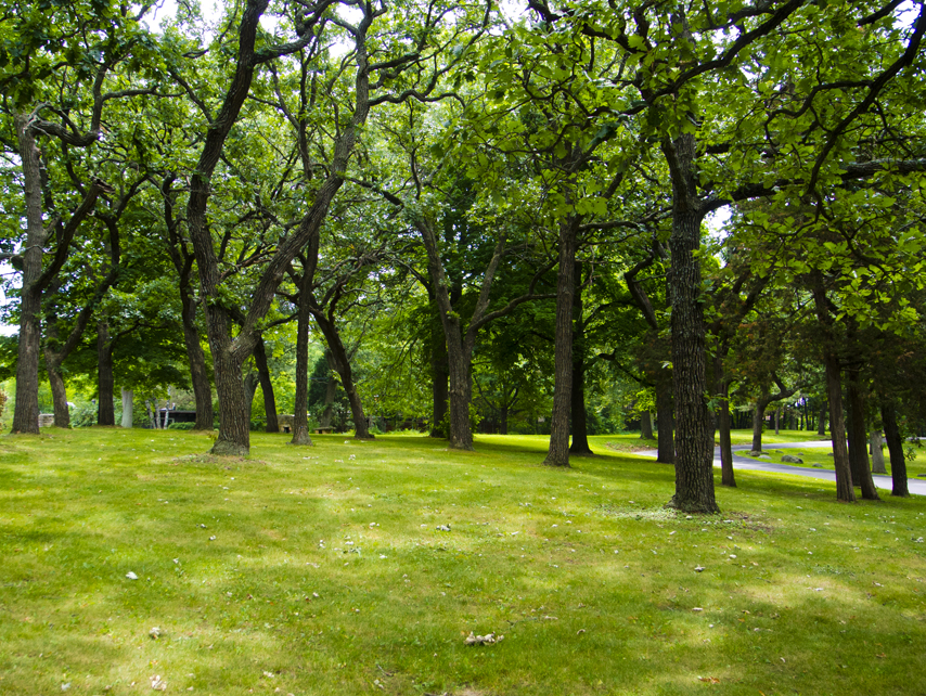 Hoyt Park - Madison WI