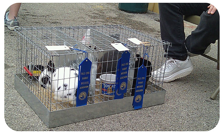 Chicken Transport Crate Extra Large Rabbit Carrier Cage 16x28x12