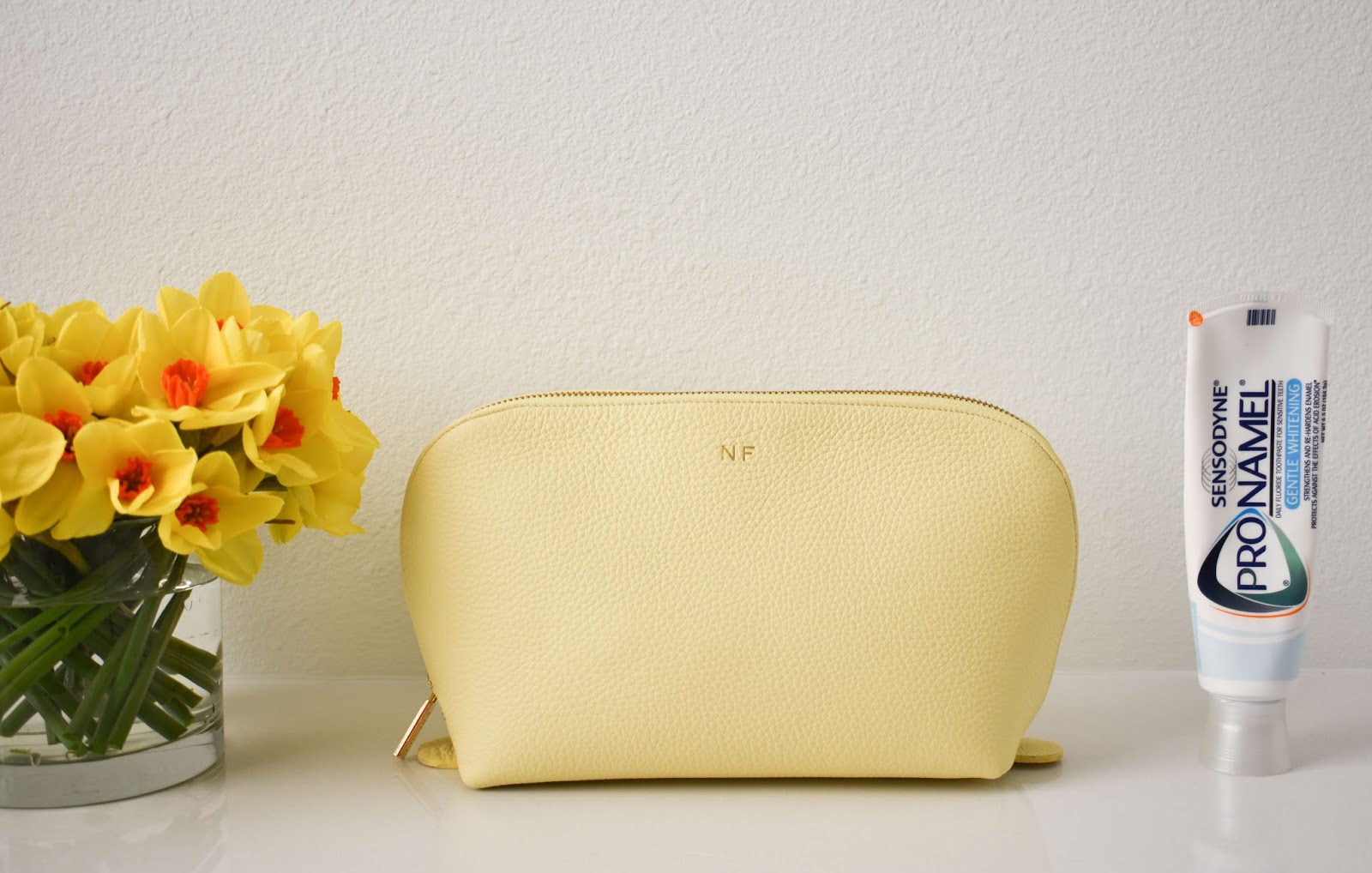 Nicole Sometimes Cuyana Travel Case Set Review