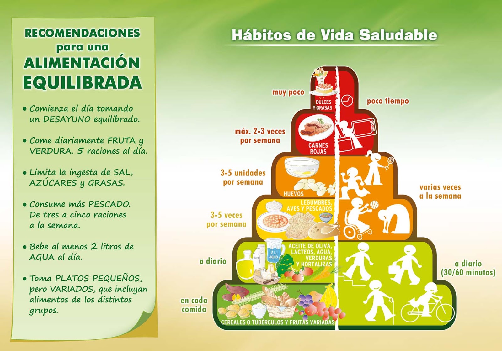 Asociación de Mayores Asociación de Mayores