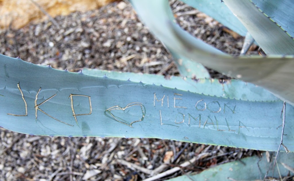 floyderdog blog Grabé en la penca de un maguey tu nombre...