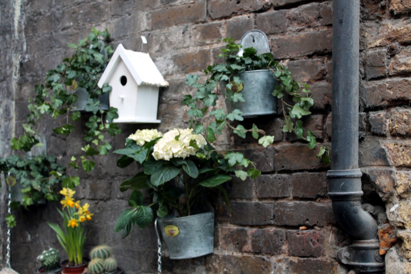 mitcheci photos London Flower Shop at London Bridge