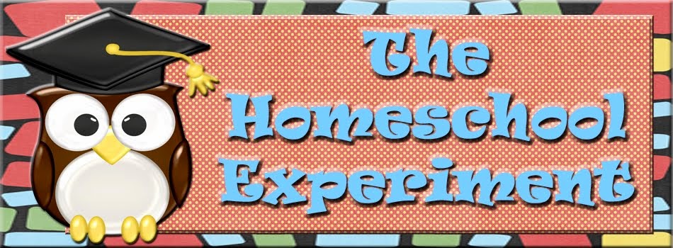 The Homeschool Experiment