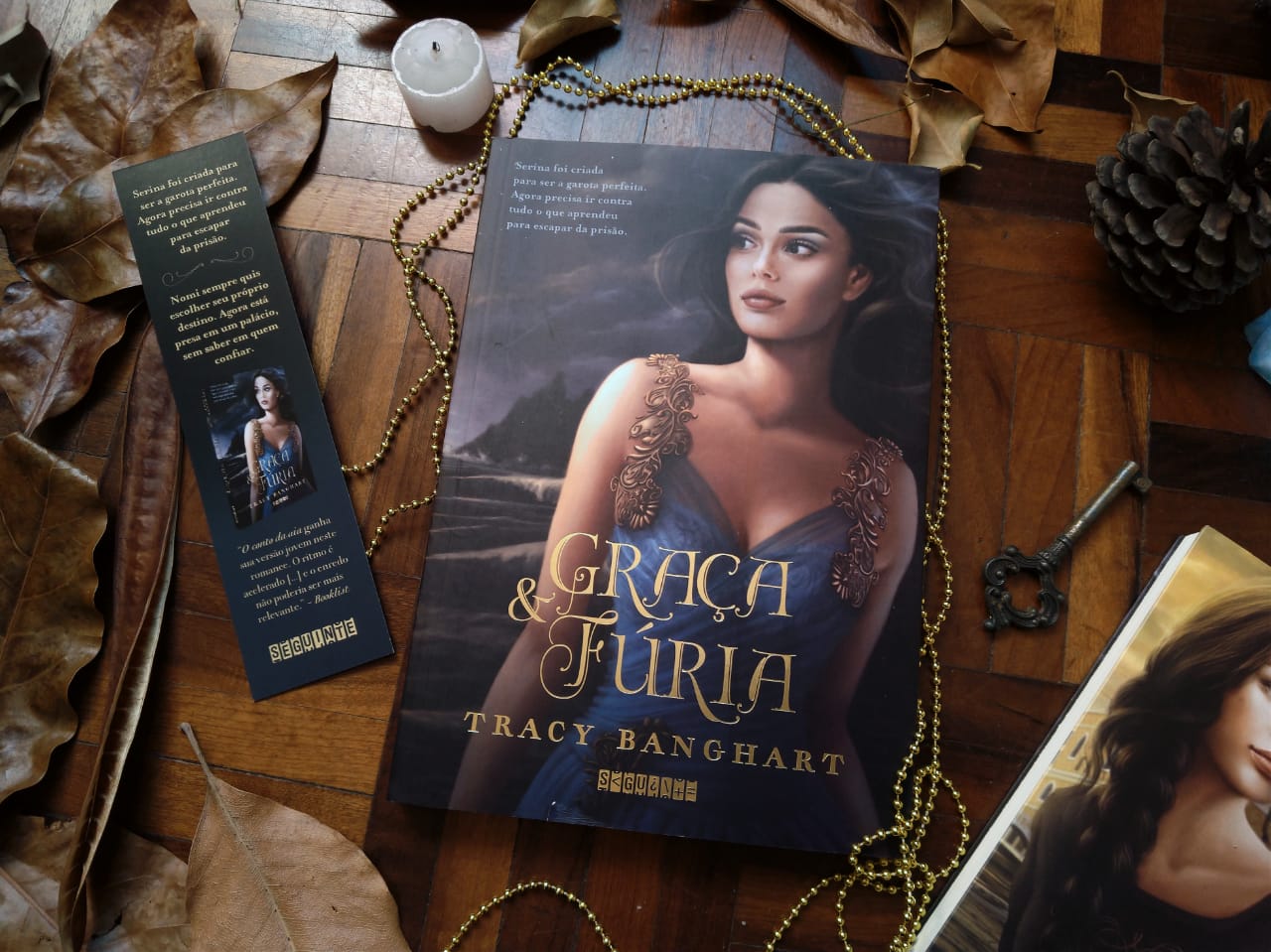GRAÇA E FÚRIA - TRACY BANGHART (Graça e Fúria #1) RESENHA DE LIVRO: GRAÇA E FÚRIA - TRACY BANGHART (Graça e Fúria #1)