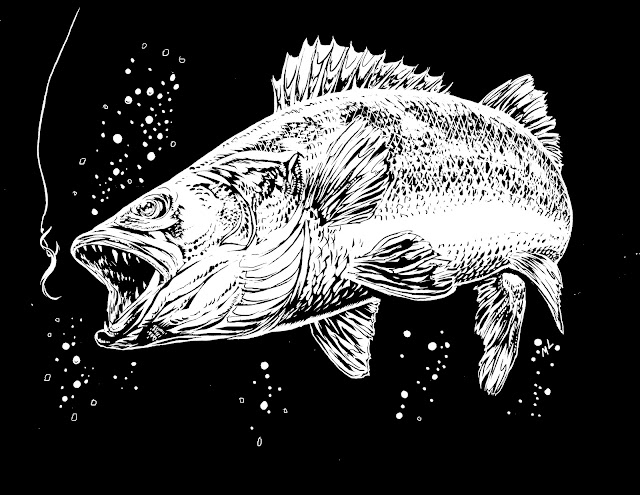 walleye coloring pages - photo #31