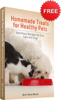 Free Homemade Treats for Healthy Pets eBook Image: Free Homemade Treats for Healthy Pets eBook
