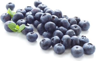 Instamag-Eat blueberries to fight age, memory loss Instamag-Eat blueberries to fight age, memory loss