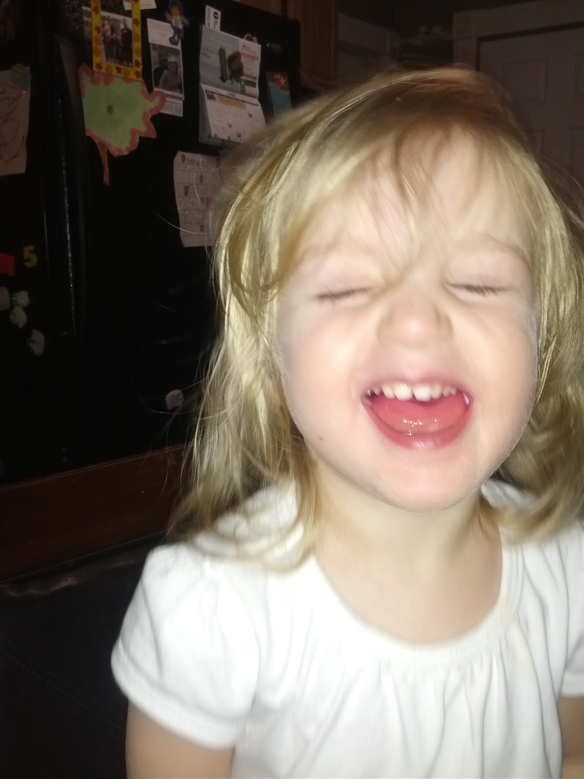 Annie's Adventures In Homeschooling! Candy Heart Experiment