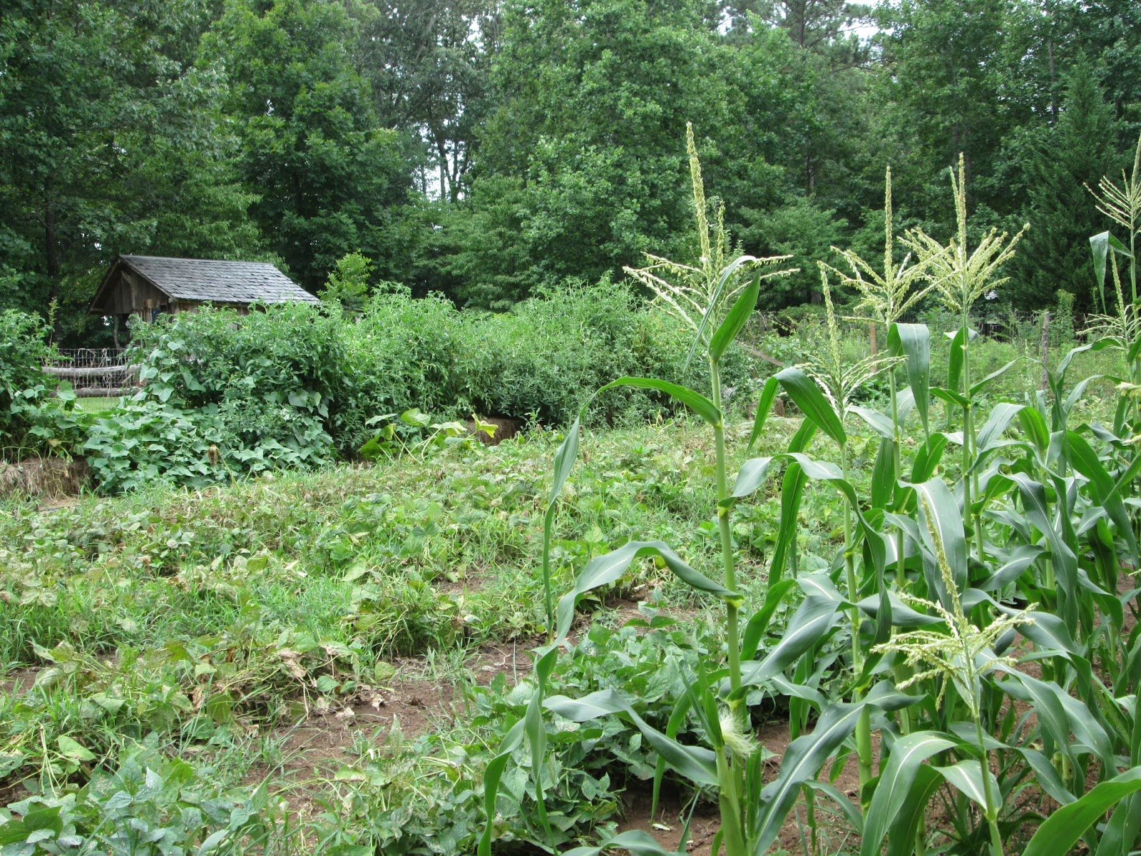 McCoy Farm and Folk Art: July 2015