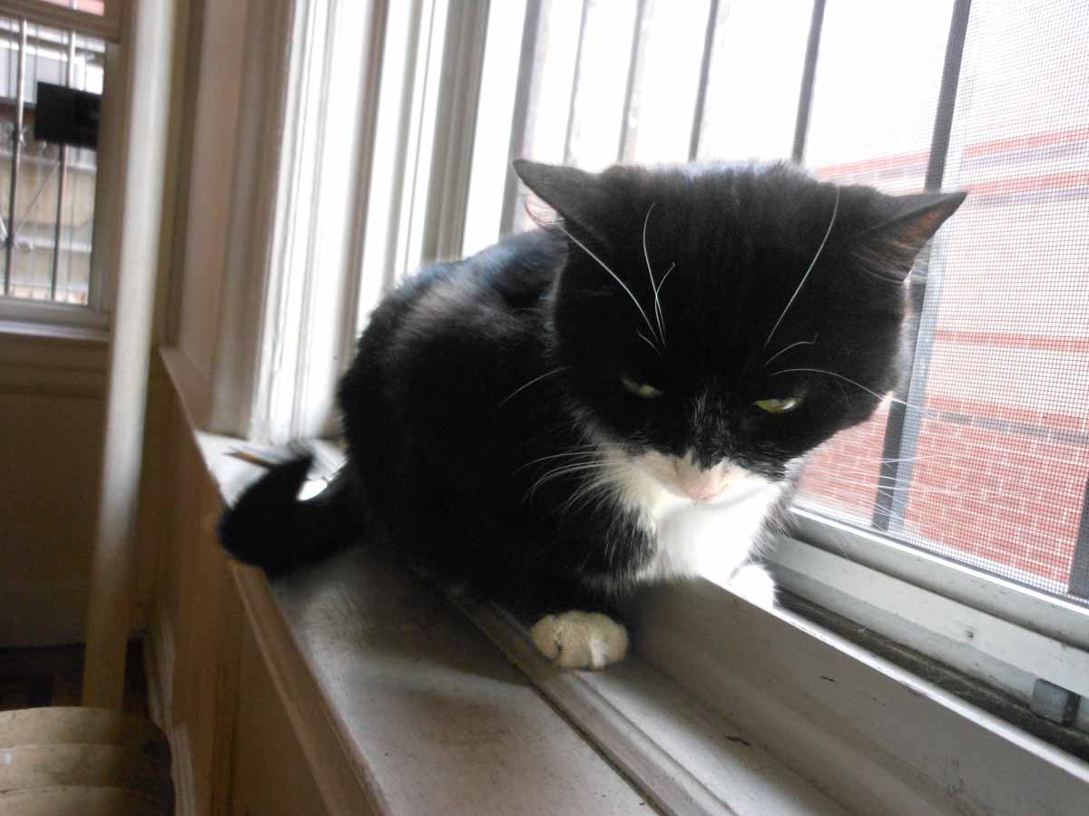 Quotidian New York The neighborhood opens up as I walk to the wine