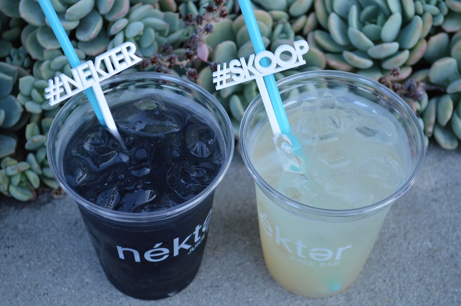 Nekter Launches New SKOOP Healthy Ice Cream Actually Worth Trying