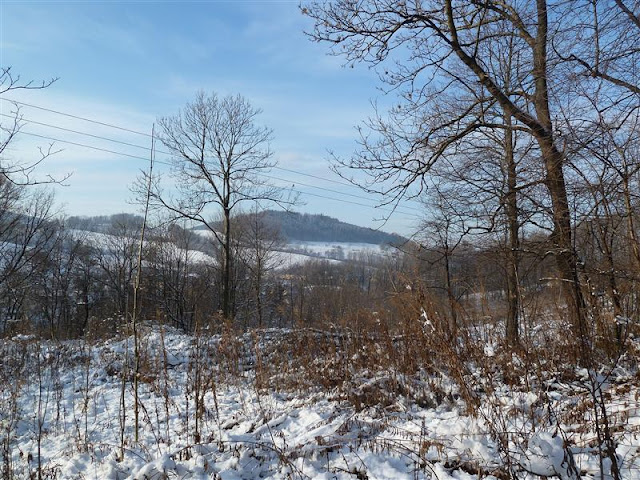 Moje dolnośląskie obrazy Trzciniec