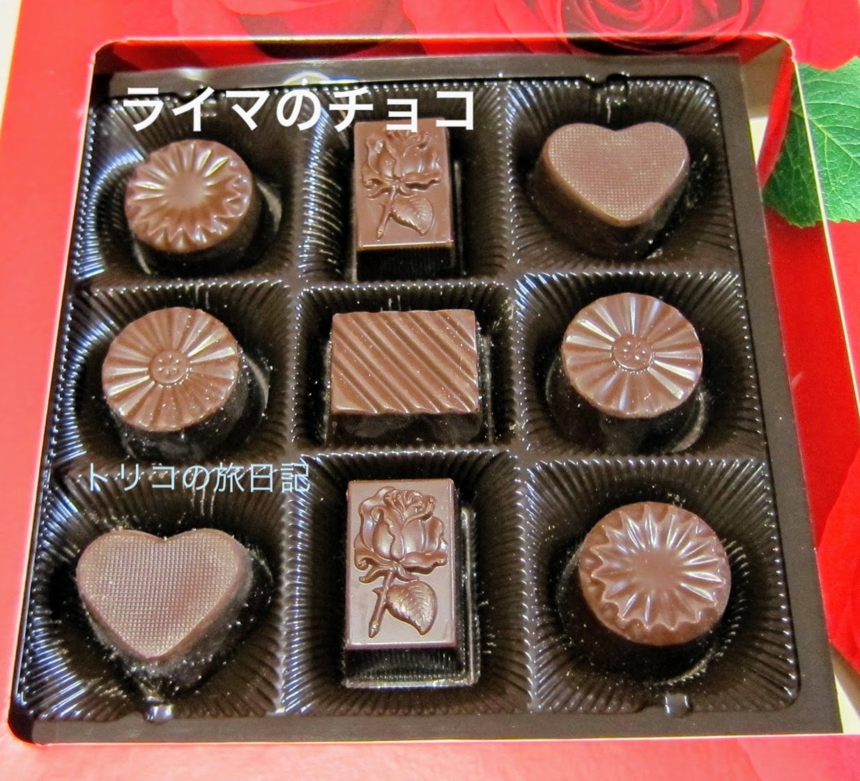 Wellton Riga Hotel Spa ツインルームとhisの新婚さん特典 トリコの旅日記