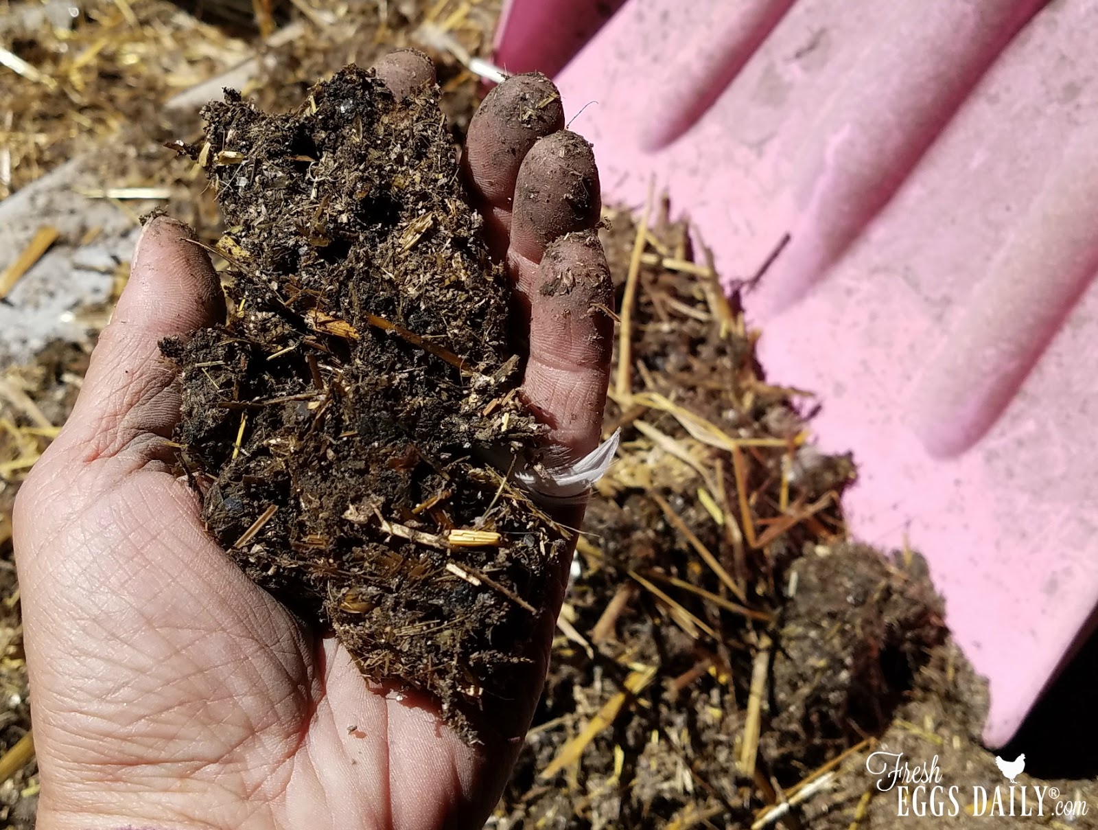 The Deep Litter Method aka Chicken Coop Winter Composting Fresh Eggs Daily®