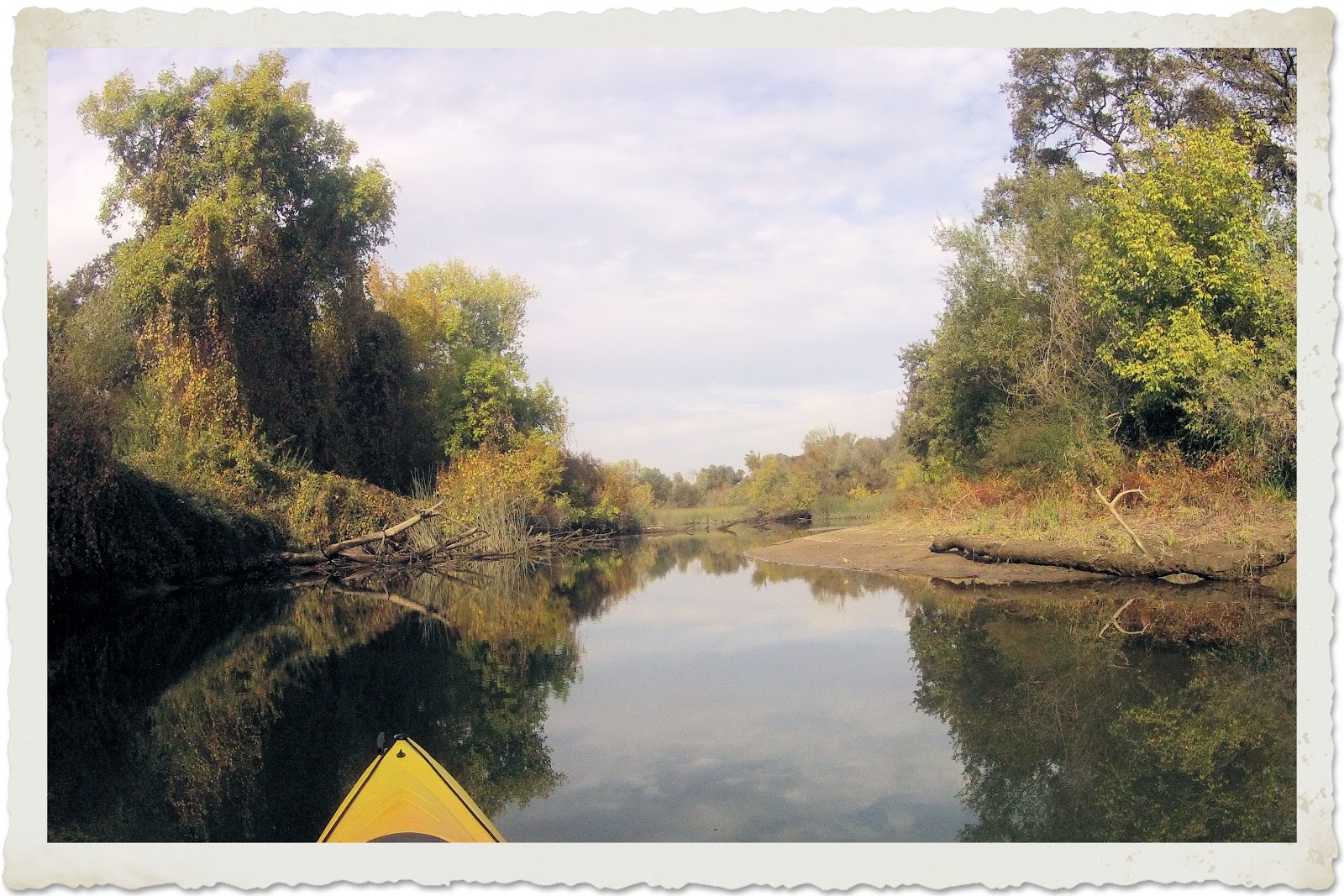 Kayaking the California Delta Cosumnes River Preserve