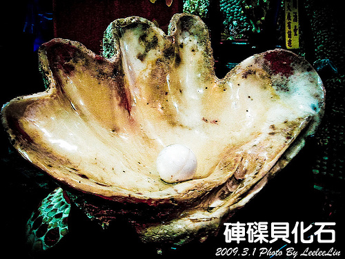 富福頂山寺|頂山寺十八羅漢洞|三芝貝殼廟