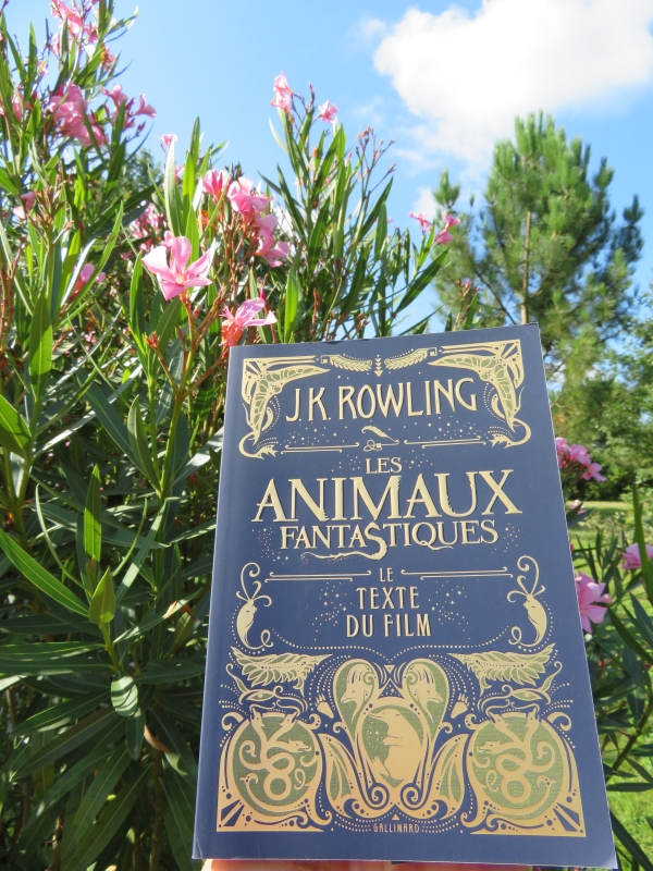 Les Animaux Fantastiques Le Texte Du Film De J K Rowling Les Lectures De Mylene