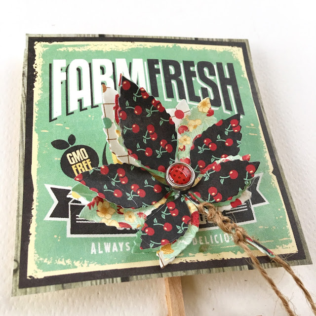 Herbs In A Bag by Angela Tombari using BoBunny Kiss The Cook Collection