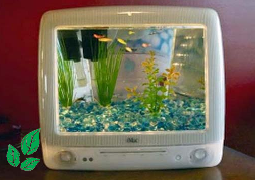 Model Akuarium Model Akuarium