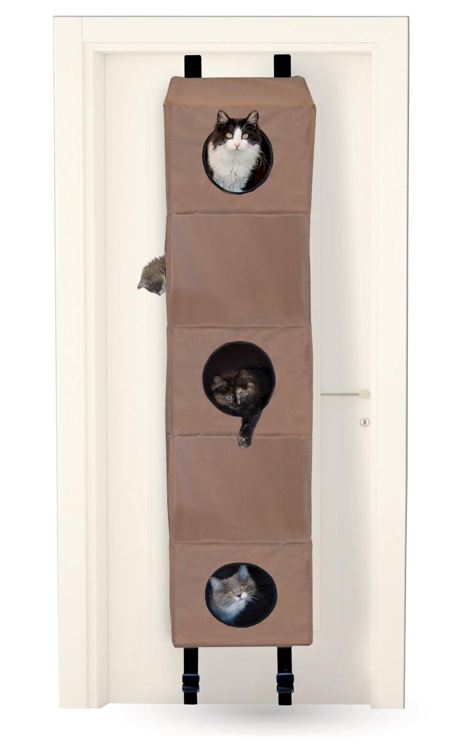 Cat Condo for apple instal free Cat Condo for apple instal free