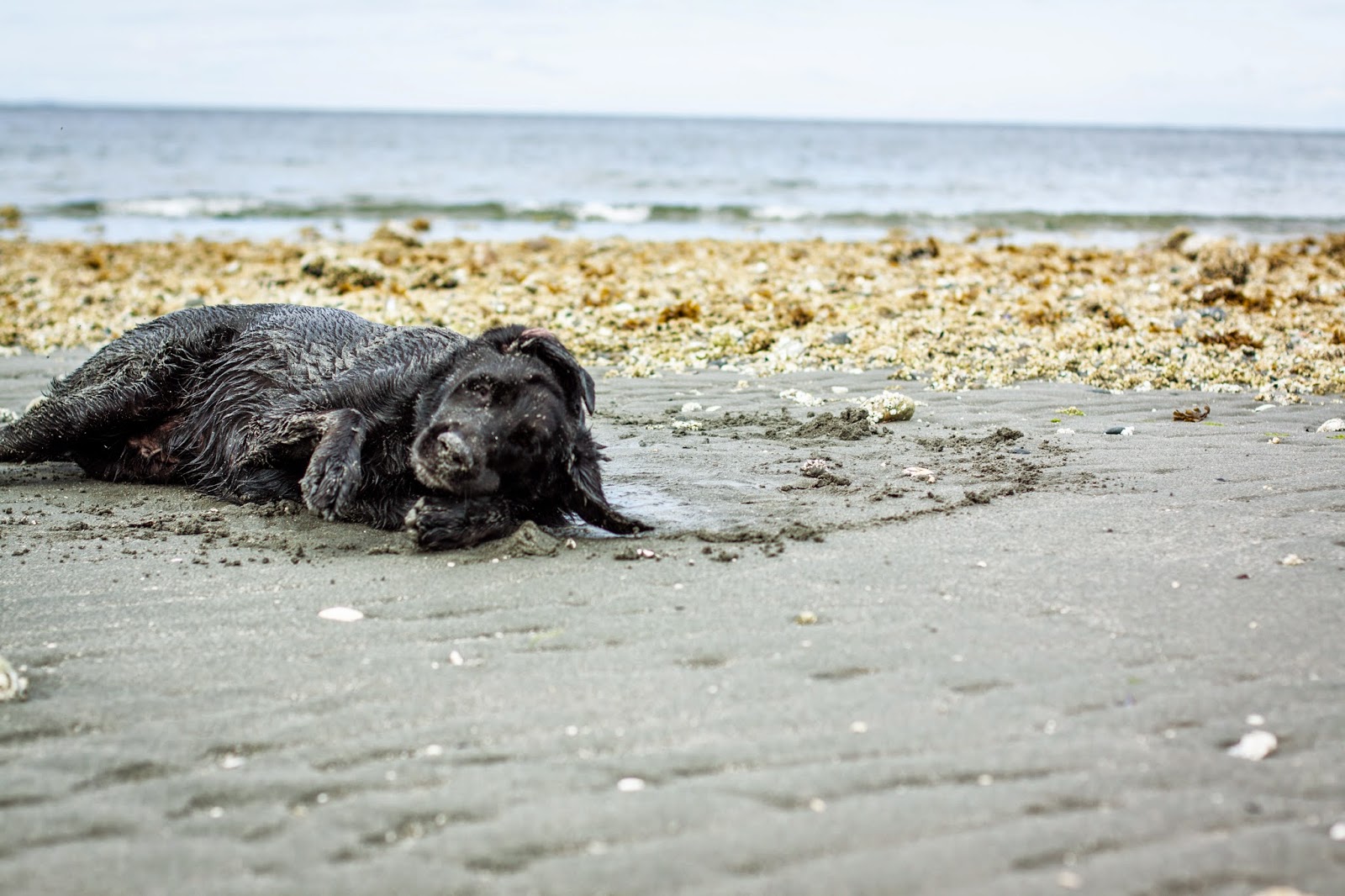 An outing Semiahmoo Parks Academe