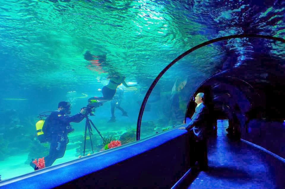 YEŞİL MERCAN ESKİŞEHİR SUALTI DÜNYASI =)