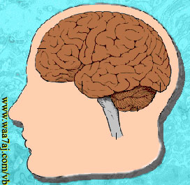 موسوعة صور علمية لمادة العلوم لكل المراحل التعليمية