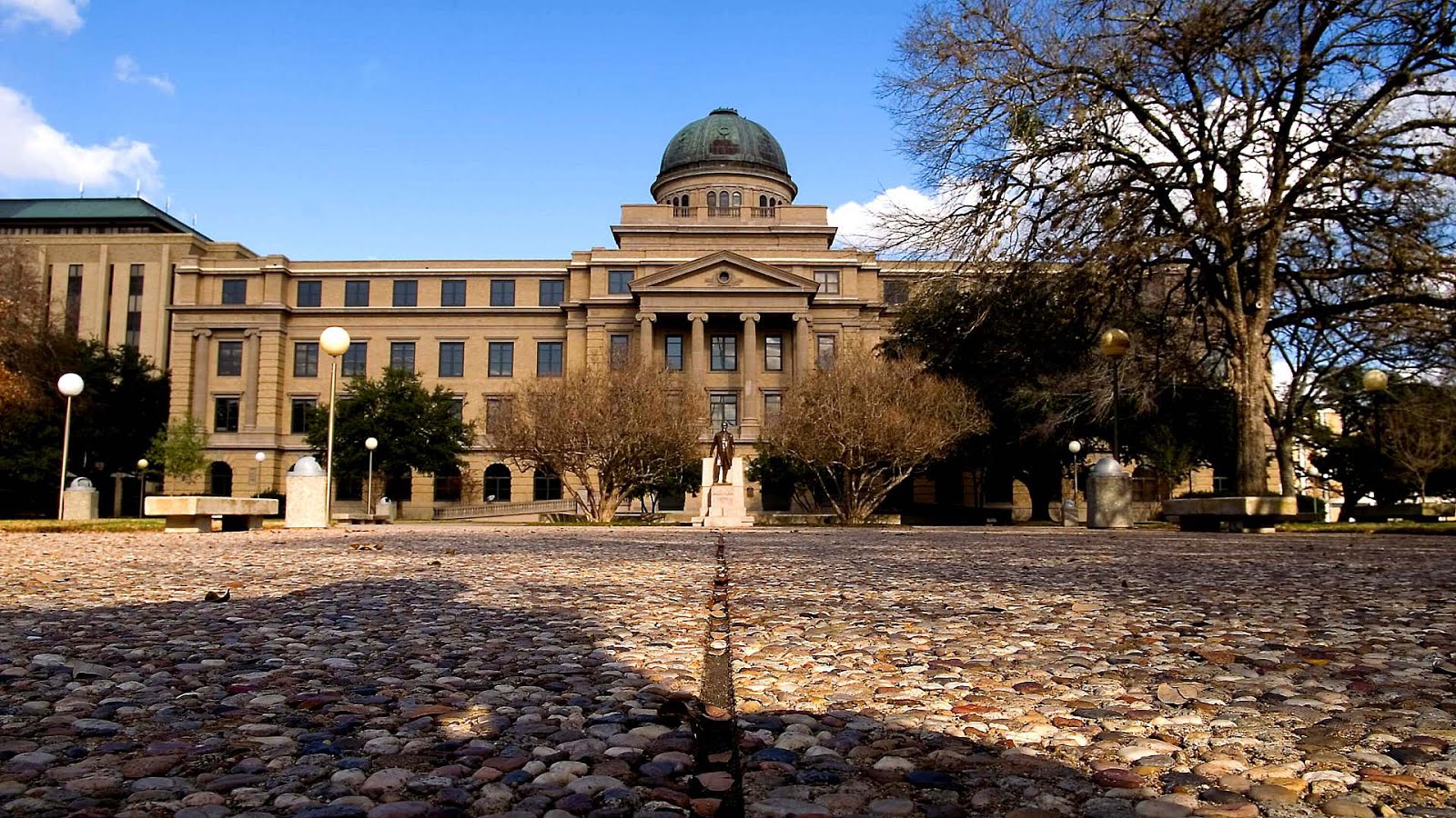 Best Schools For Psychology School Choices Best Schools For Psychology School Choices