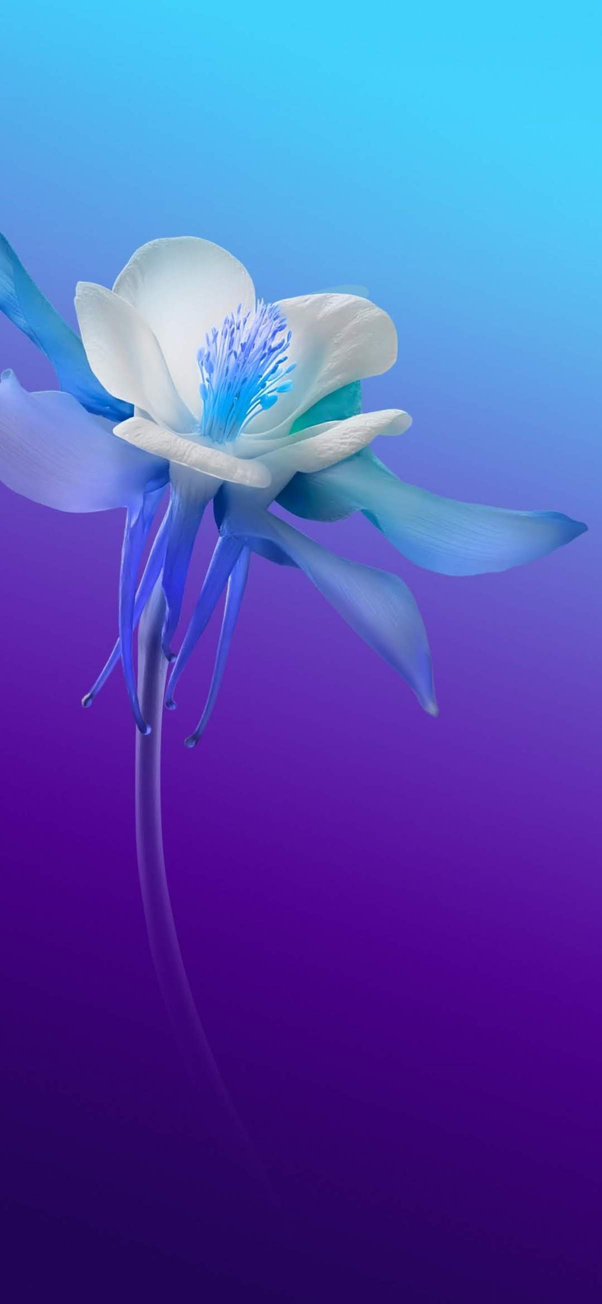 Wallpapers iPhone 11 Pro Max Pack 1 WallsPhone