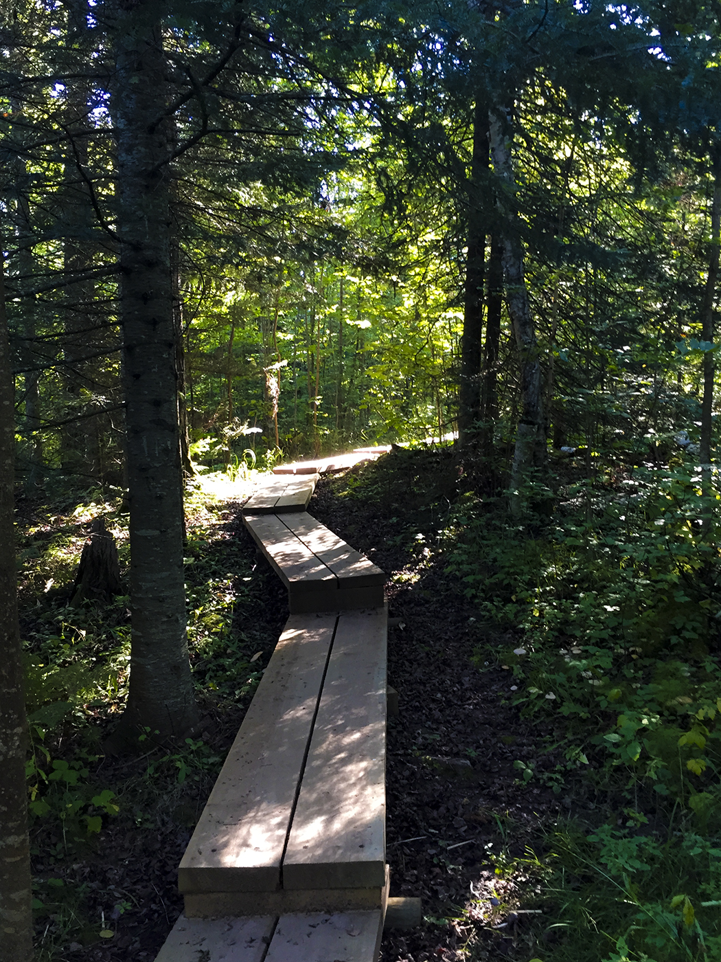 The Lakeshore Trail at the Apostle Islands National Lakeshore