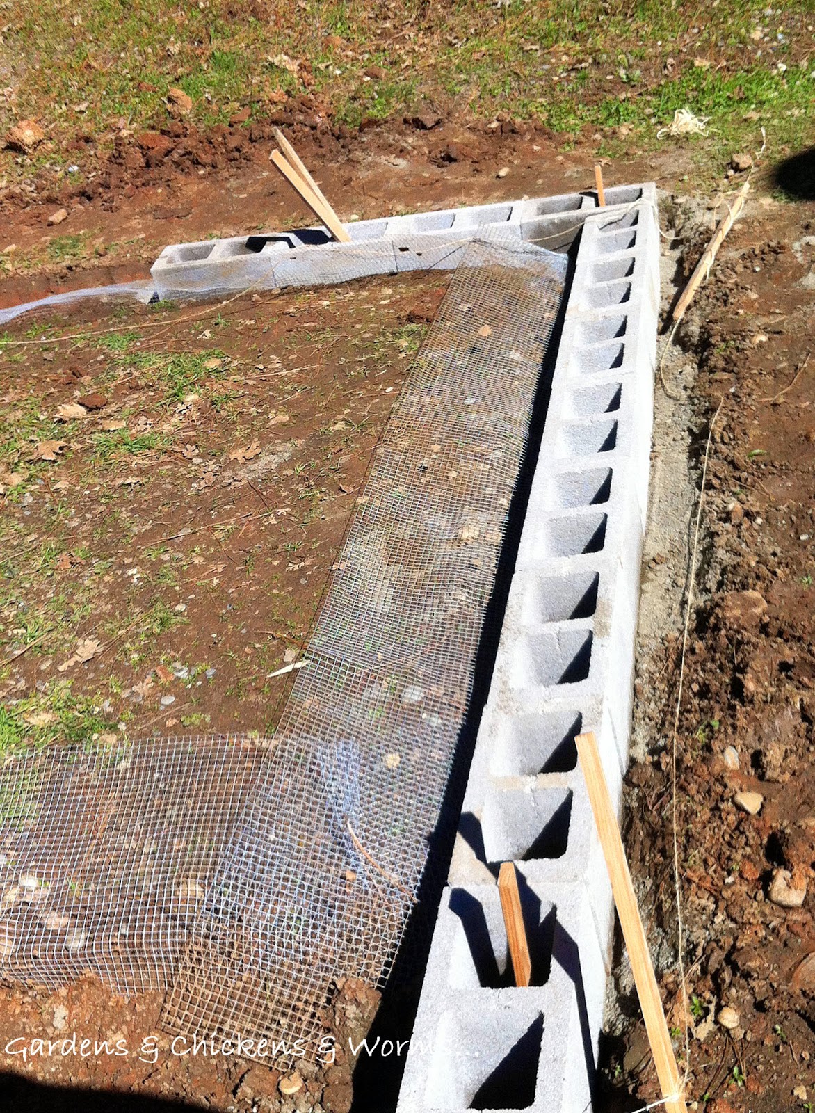 Gardens &amp; Chickens &amp; Worms, Oh My!