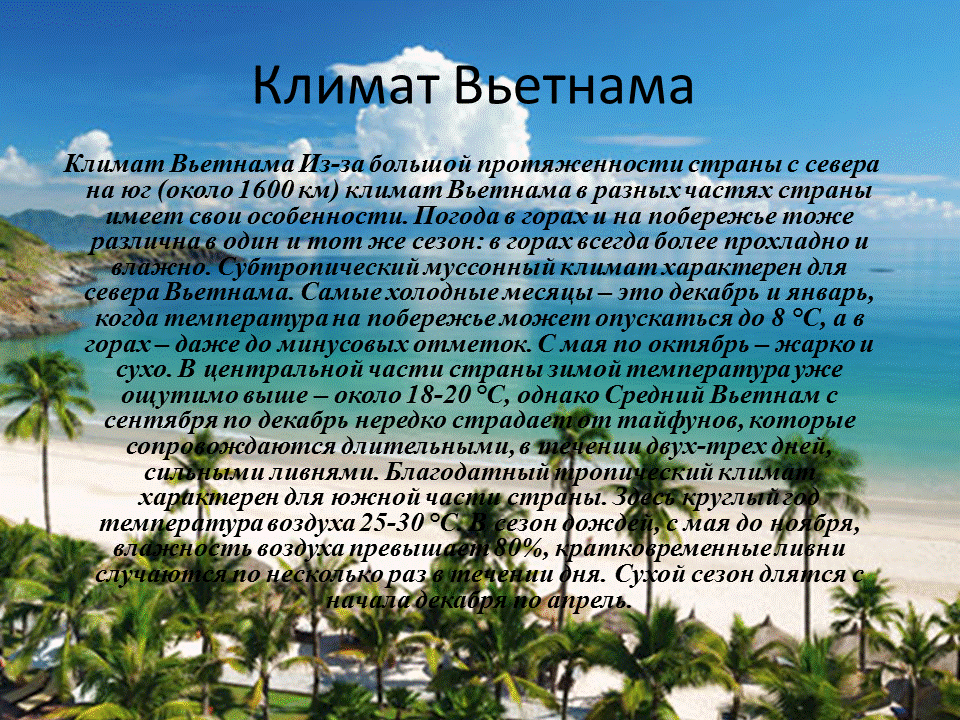 климат дальнего востока. субтропический климат характерен для. климат побережья черного моря. климат характерный для побережье. климат характерный для побережье.
