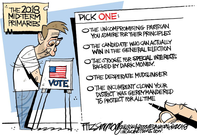 Distressed-looking man in voting booth considering choices on ballot:  1)  the uncompromising partisan you admire for their (sic) principles.  2)  the candidate who can actually *win* in the general election.  3)  the stooge for special interests backed by dark money.  4) the desperate mudslinger.  5)  the incumbent clown your district was gerrymandered to protect for all time.