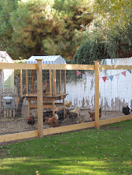 fencing fence chicken coop chickens farm fences proof garden yard tall deer fenced backyard dog coops idea diy obscure doesn