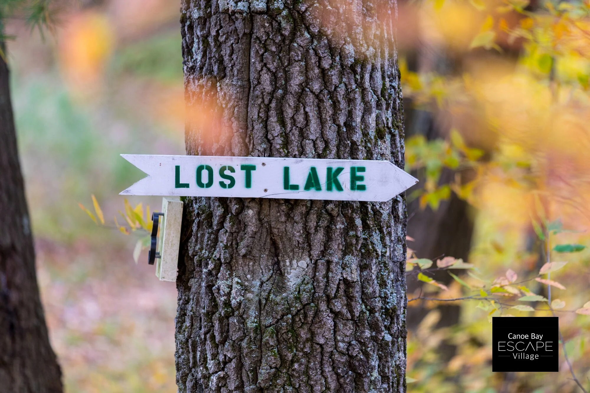Canoe Bay Tiny House Village [ TINY HOUSE TOWN ]