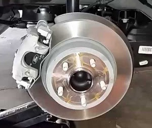 Disc brake rotor and caliper