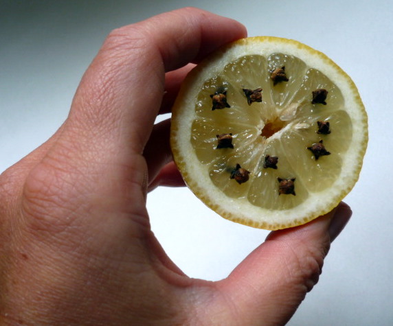 Oeuf De Mouche Maison – Ventana Blog