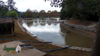 Construção do muro de pedra em Cotia-SP, sendo muro de pedra em volta do lago para evitar desmoronamento do barranco, sendo o muro com pedra rachão.