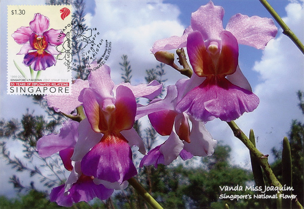 Of national singapore flower Vanda Miss