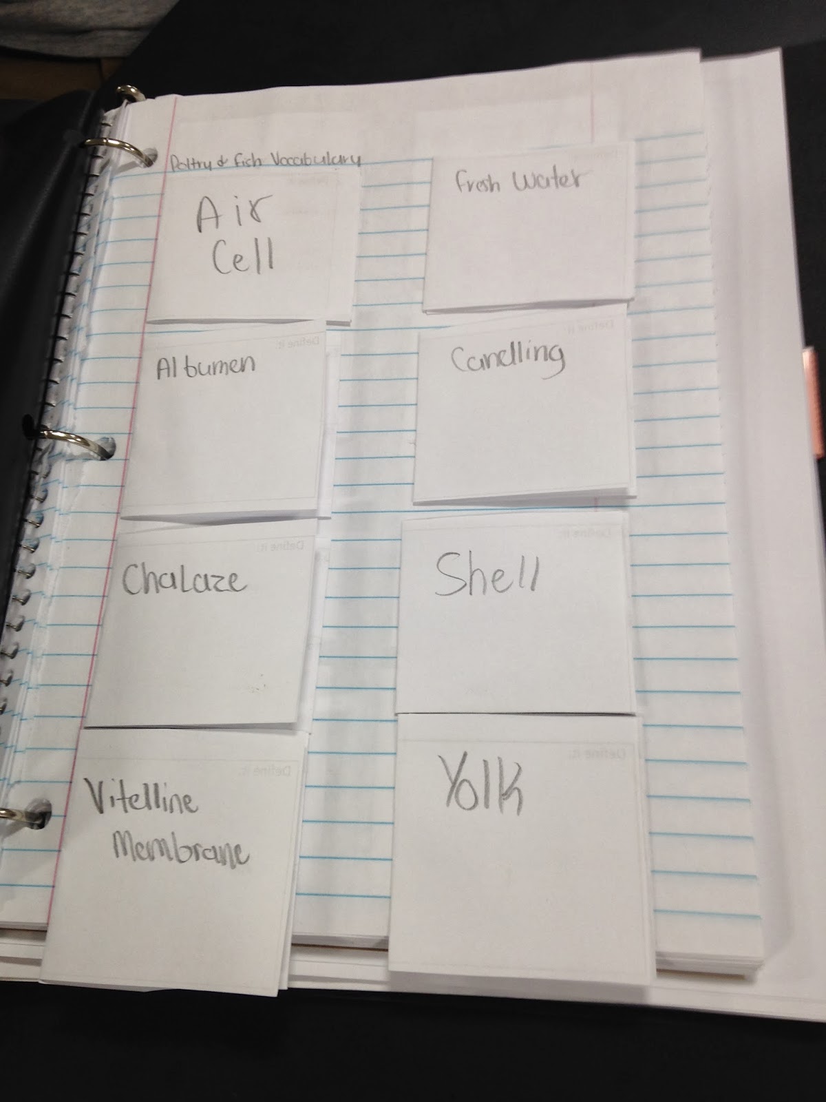 Teaching Ag the Wright Way Interactive Notebook Addiction... Vocabulary