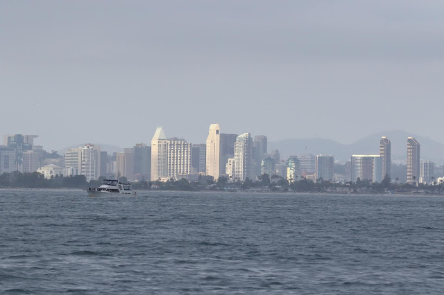 San Diego skyline from San Diego Bay