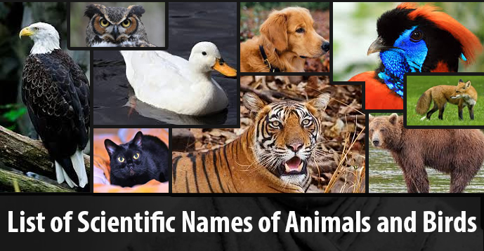 Kerala PSC - List of Scientific Names of Animals and Birds