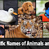 Kerala PSC - List of Scientific Names of Animals and Birds