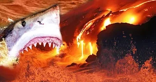 Sharks living in a volcano.