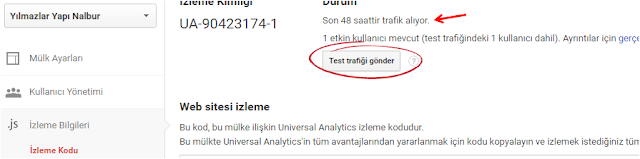Google Analytics test trafiği gönderme