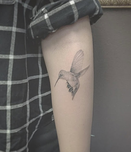 Este preto e cinza tinta beija-flor