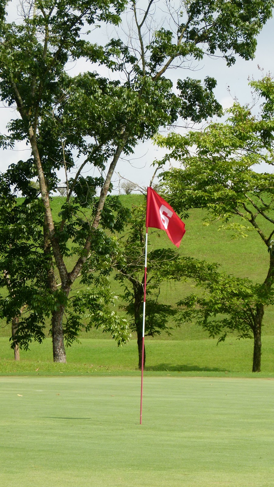 Red flag on a golf pole on a golf course free picture for commercial use