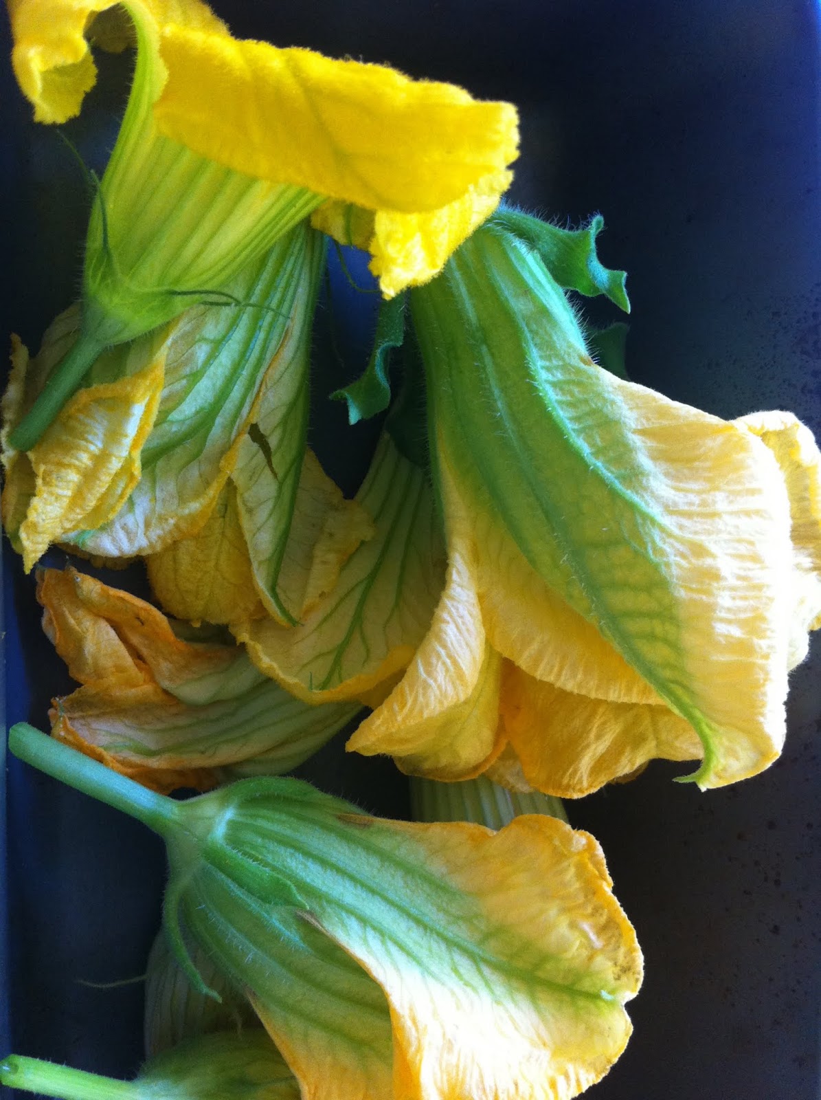 PARIS AND LE CORDON BLEU Fried Stuffed pumpkin flowers